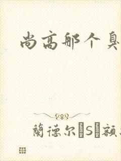 尚高那个臭小子