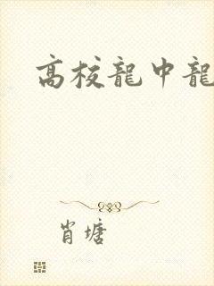 高校龙中龙全集