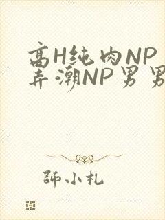 高H纯肉NP 弄潮NP男男