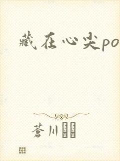 藏在心尖poH