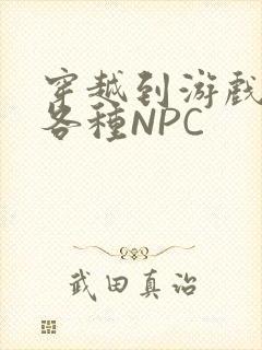 穿越到游戏里和各种NPC