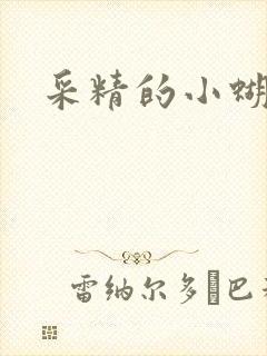 采精的小蝴蝶