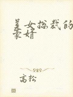 美女总裁的顶级豪婿