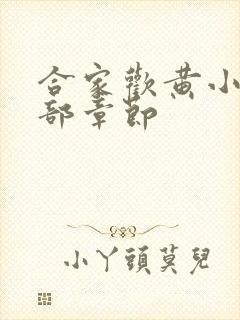 合家欢黄小梅全部章节