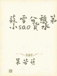 苏雪公憩第一章小sao货水