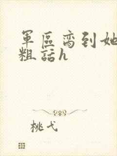 军区脔到她哭h粗话h