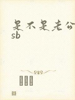 是不是老公的小sb