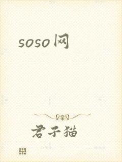 soso网