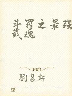 斗罗之最强治疗武魂