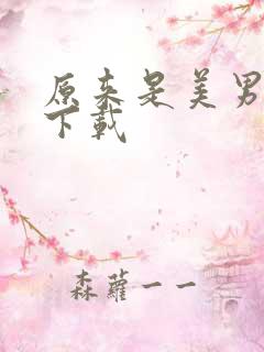 原来是美男啊 下载