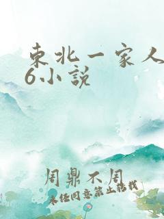 东北一家人1一6小说