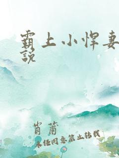 霸上小悍妻 小说