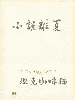小说离夏