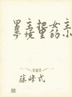 男主把女主拖进梦境里的小说