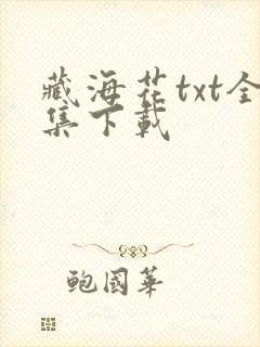 藏海花txt全集下载