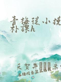 青梅从小摸到大补课h