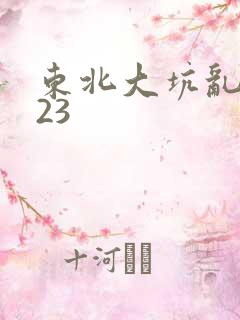 东北大坑乱1—23