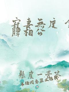 宠妻无度  金牌相公