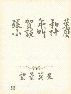 张贺年和叶繁姿小说叫什么名字