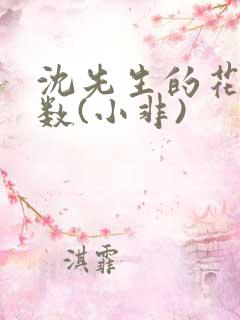 沈先生的花式调数(小非)