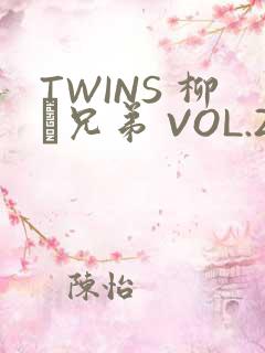 TWINS 柳澤兄弟 VOL.2