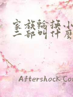 家族轮换小说第二部叫什么名字