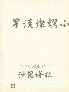 星汉灿烂小说