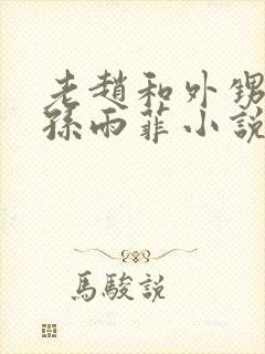 老赵和外甥媳妇孙雨菲小说