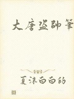 大唐盗帅笔趣阁