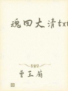 魂回大清txt