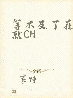 等不及了在车里就CH