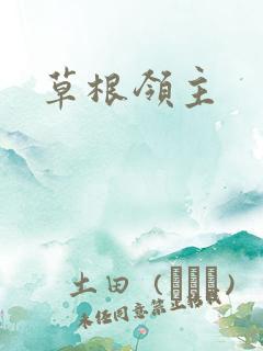 草根领主