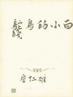 鸵鸟的小白脸路线