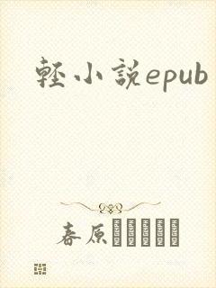 轻小说epub