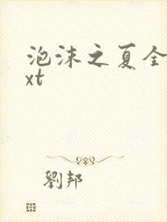 泡沫之夏全集txt