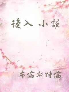 后入 小说