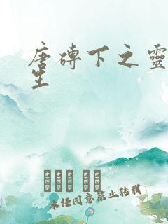 唐砖下之灵域双生