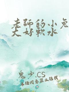 老师的小兔子好大好软水