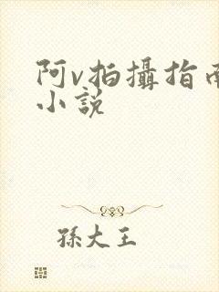 阿v拍摄指南说小说