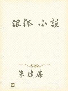 银狐 小说
