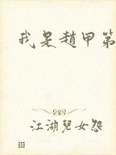 我是赵甲第小说