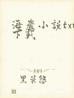 海岩小说txt下载