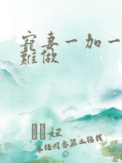 宠妻一加一老婆难做