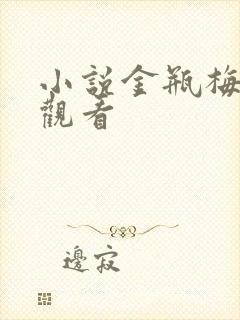 小说金瓶梅在线观看