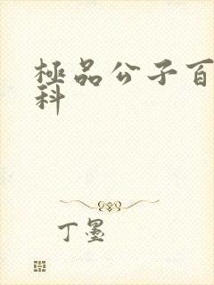 极品公子百度百科
