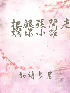 把腿张开老子臊烂你小说