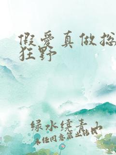 假爱真做总裁太狂野