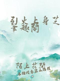 引火上身芝麻糖笔趣阁