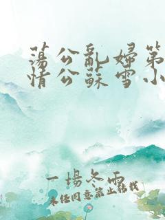 荡公乱妇第1章情公苏雪小说