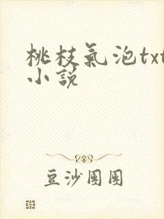 桃枝气泡txt小说